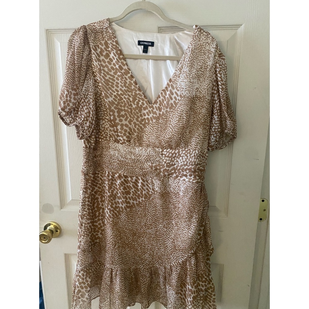 Express Mini Dress